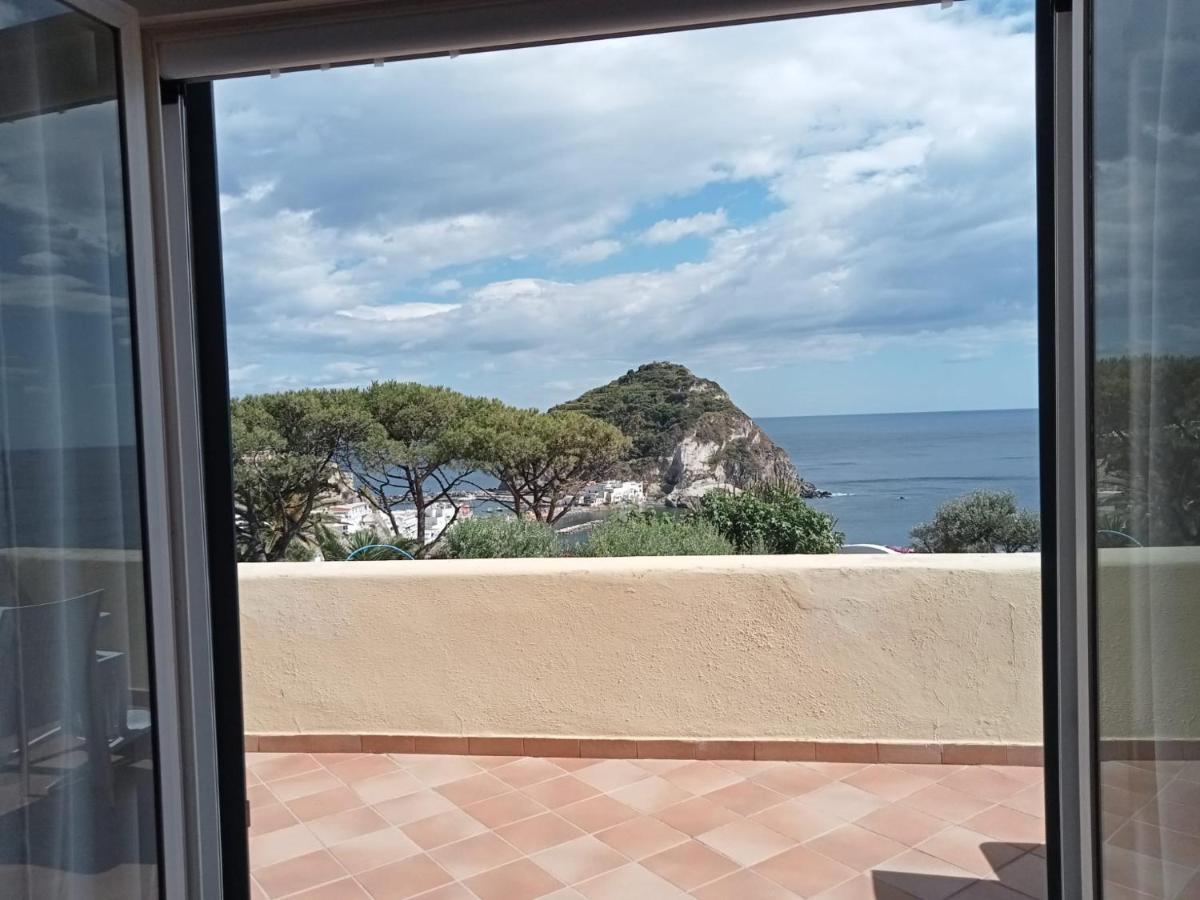 Parco Termale Tropical Bed & Breakfast Ischia Island Dış mekan fotoğraf