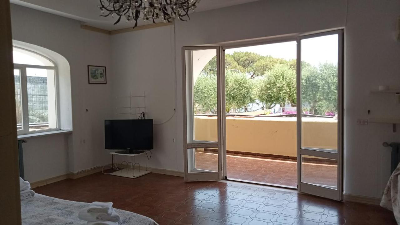 Parco Termale Tropical Bed & Breakfast Ischia Island Dış mekan fotoğraf