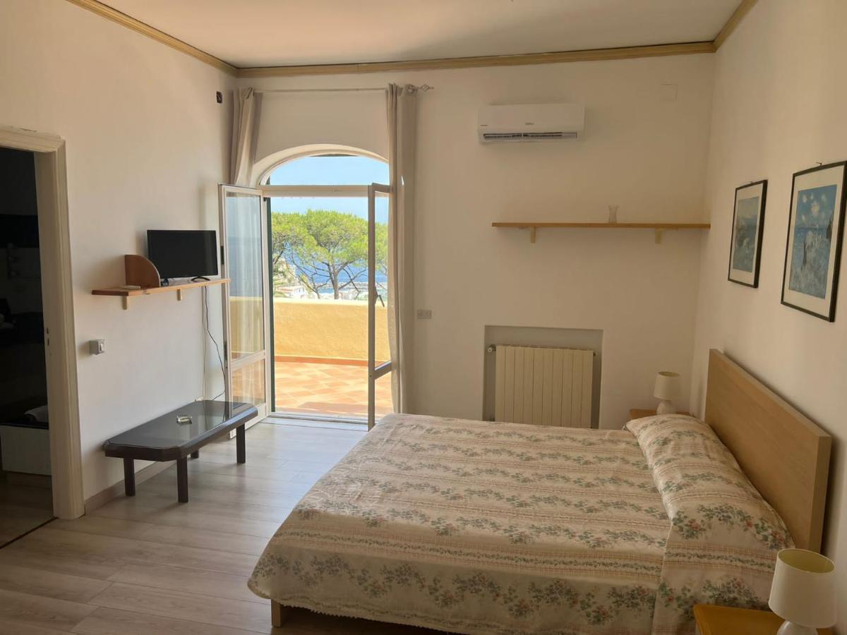 Parco Termale Tropical Bed & Breakfast Ischia Island Dış mekan fotoğraf