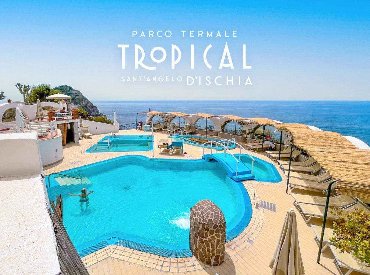 Parco Termale Tropical Bed & Breakfast Ischia Island Dış mekan fotoğraf